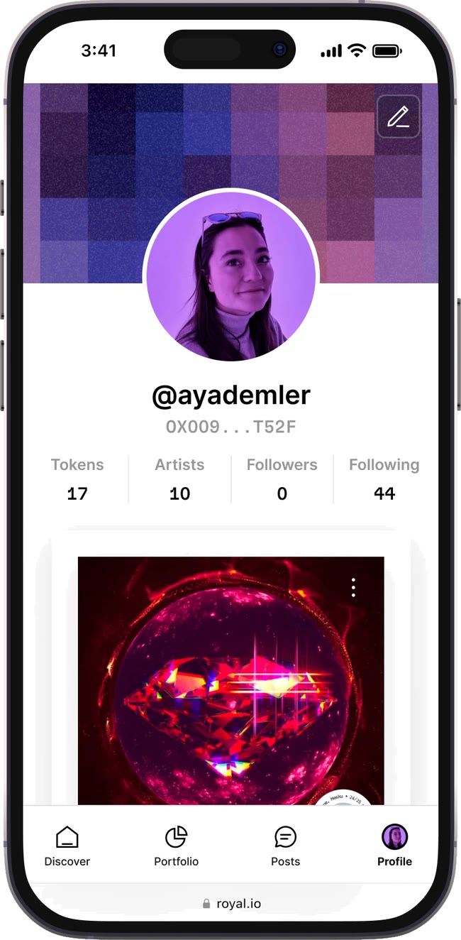 A collector profile with tokens, artists, and followers